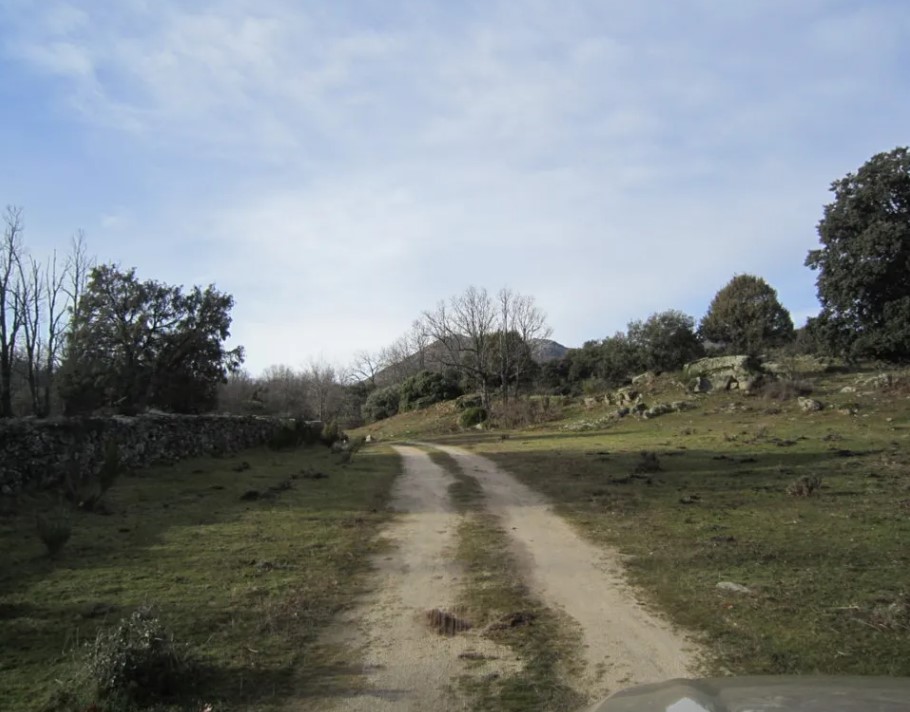 foto-62 Venta de Finca ganadera y caza mayor en C&oacute;rdoba